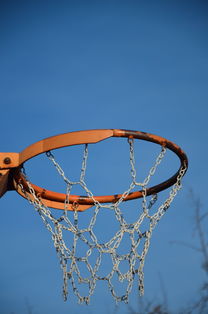 开云娱乐官网-NBA球队球员培养规划设计，nba对球员的要求是什么