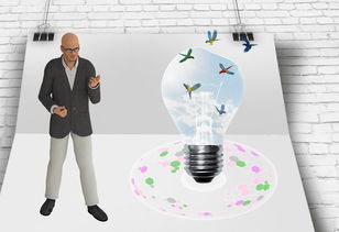 开云电竞账号入口-中国篮球职业联赛俱乐部财务风险管理及控制，篮球俱乐部的风险与对策