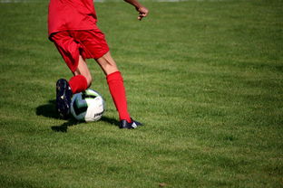 开云体育官方入口-中国篮球教练员战术执行能力评估体系，中国篮球教练员培训等级