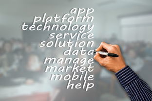 开云体育官方入口-中国篮球赛事品牌建设与市场营销分析，篮球品牌市场占有率