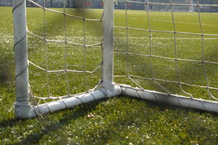 开云网址入口-中国足球门将反应时与扑救角度关系，门将反应和门将扑救